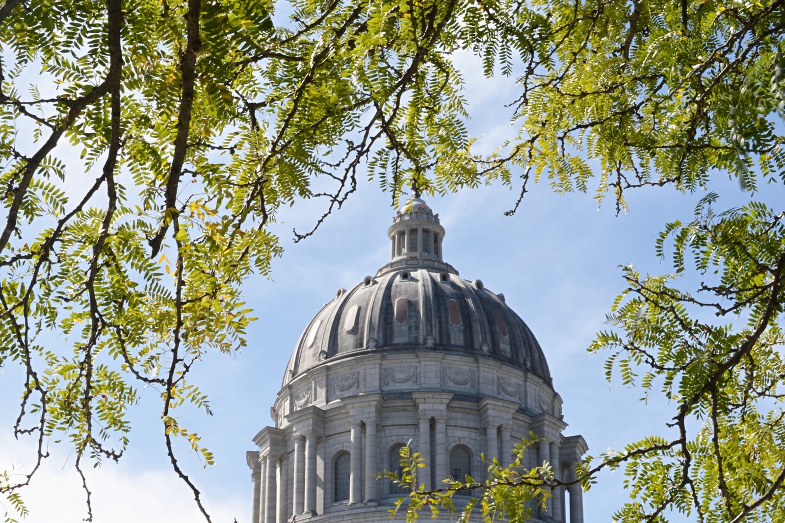 North view of the Missouri State Capitol, Jefferson City, where the blocked map was drawn.